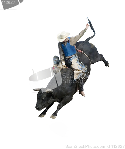 Image of Bull Riding