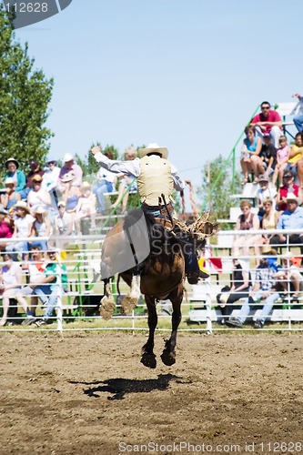 Image of Saddle Bronc