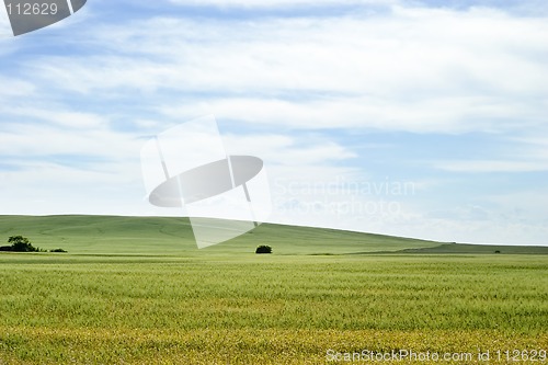 Image of Prairie Landscape