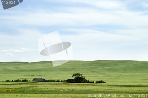 Image of Prairie Landscape