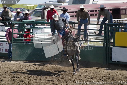 Image of Saddle Bronc