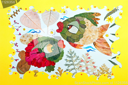 Image of Fish collage