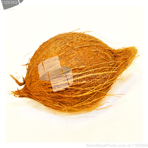 Image of Coconut