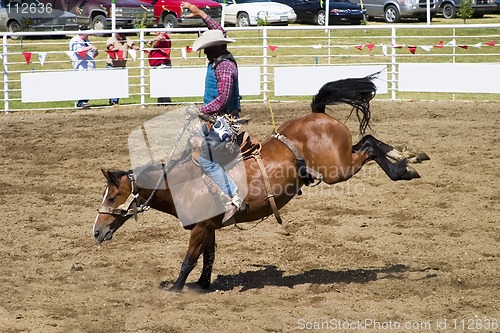 Image of Saddle Bronc