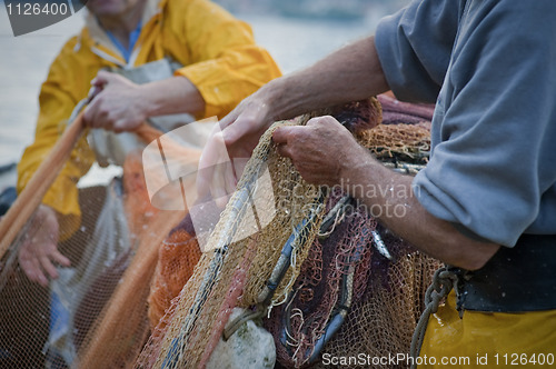 Image of Fishermen pulling in nets
