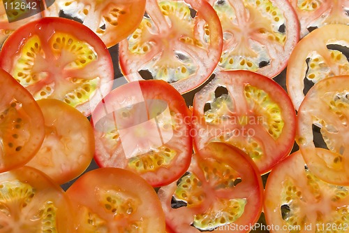 Image of Tomato Slice Background