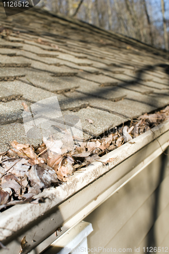 Image of house gutter filled with leaves autumn