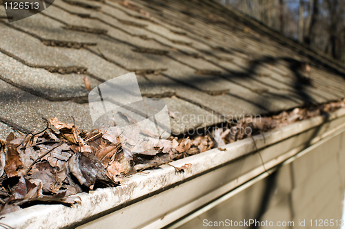 Image of house gutter filled with leaves autumn