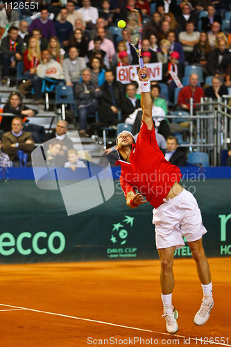Image of Tennis Davis Cup Austria vs. France