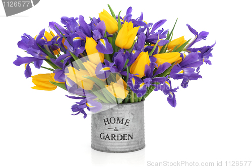 Image of Iris and Tulip Flowers