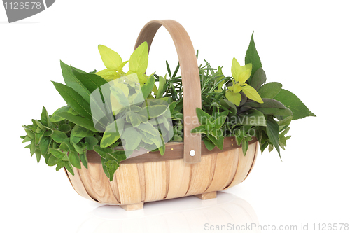 Image of Herb Basket