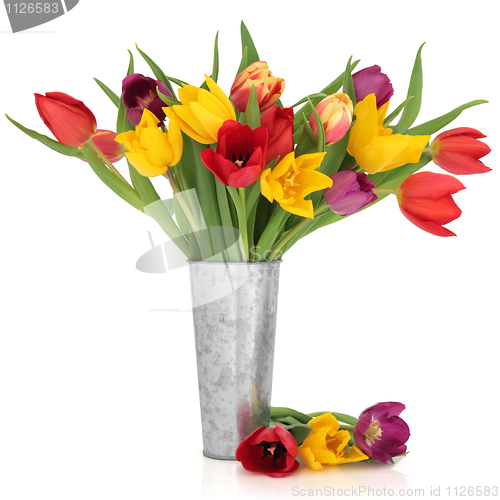 Image of Tulip Flower Beauty