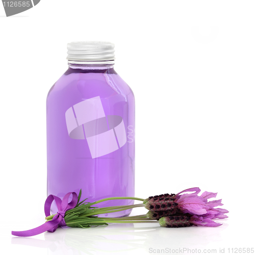 Image of Lavender Herb Flower Water