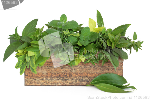 Image of Herbs