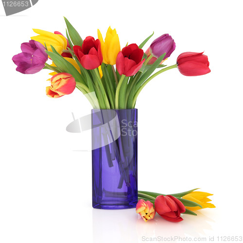 Image of Tulip Flower Beauty