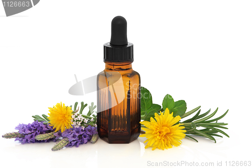 Image of Herbal Therapy
