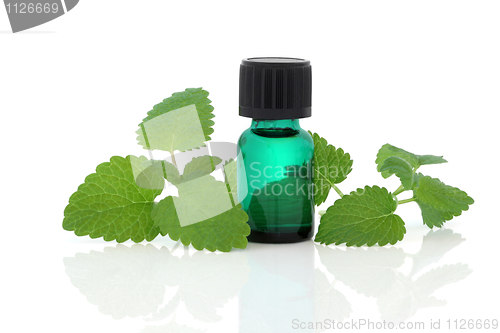 Image of Lemon Balm Herb Essence