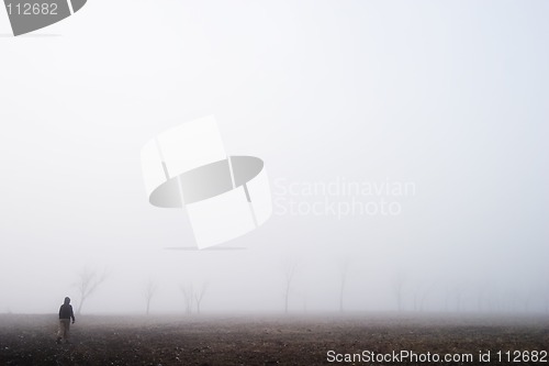 Image of Fog Walk