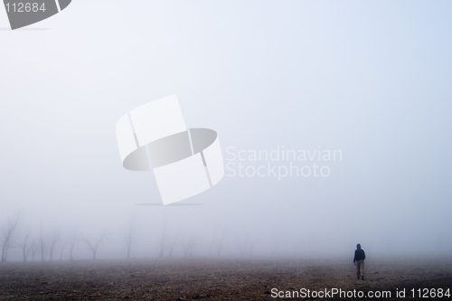 Image of Fog Walk