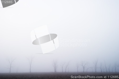 Image of Prairie Fog