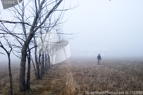 Image of Fog Walk