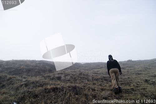 Image of Fog Walk