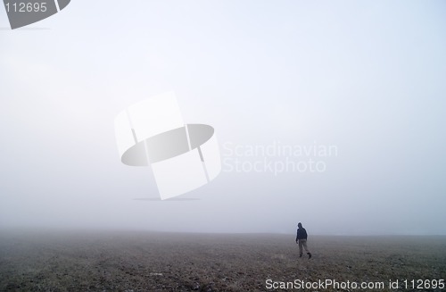 Image of Fog Walk