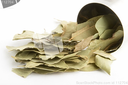 Image of Bay Leaves