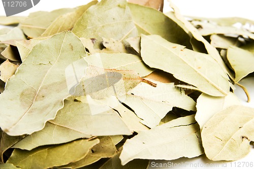 Image of Bay Leaves