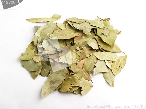 Image of Bay Leaves