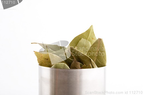 Image of Bay Leaves