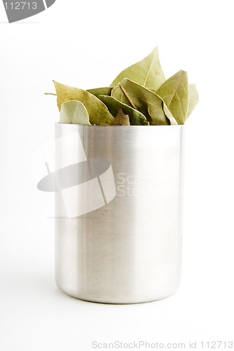 Image of Bay Leaves