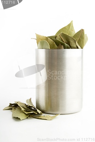 Image of Bay Leaves