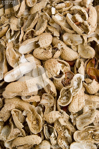 Image of Peanut Shell Background