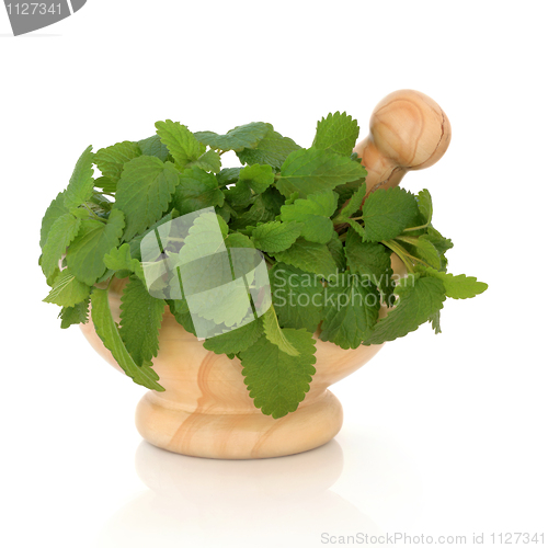 Image of Lemon Balm Herb