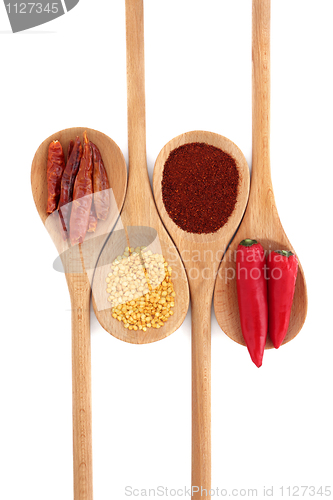 Image of Chili Spice Variety