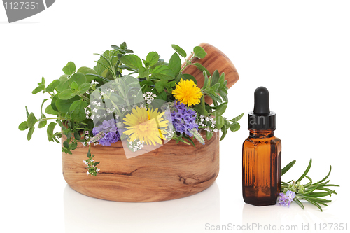Image of Herb Therapy