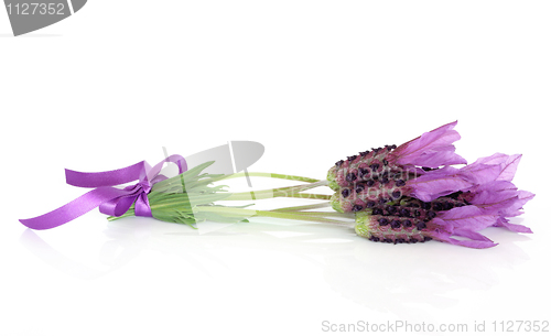 Image of Lavender Herb Flower Posy