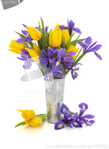 Image of Tulip and Iris Flowers