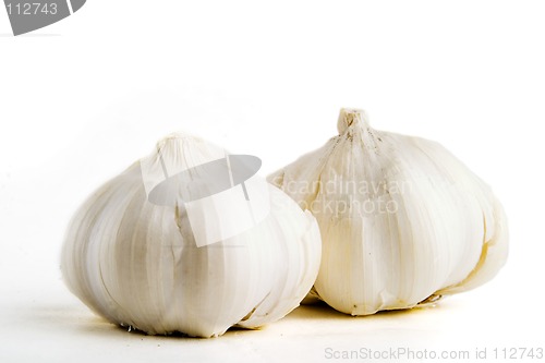 Image of Garlic