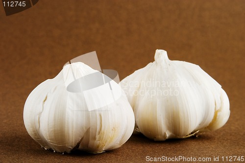 Image of Garlic