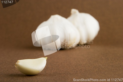 Image of Garlic