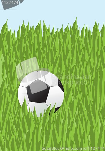 Image of Football in a grass