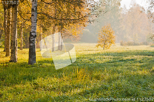 Image of Autumn landscape