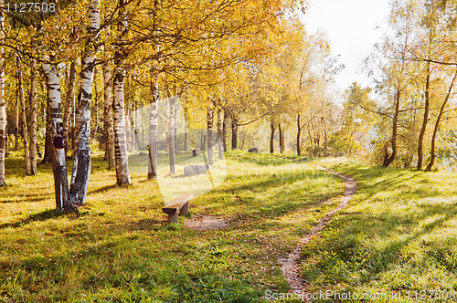 Image of Autumn landscape