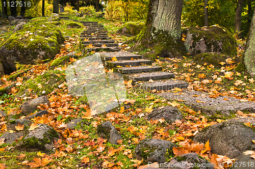 Image of Stone ladder in autumn park Kadriorg, Tallinn