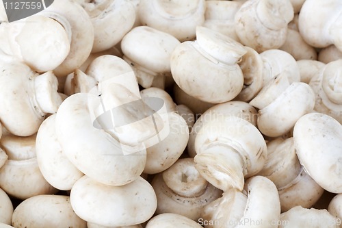 Image of Champignons