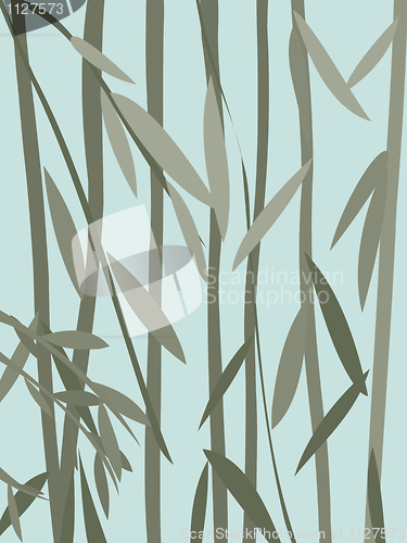 Image of willow leaves