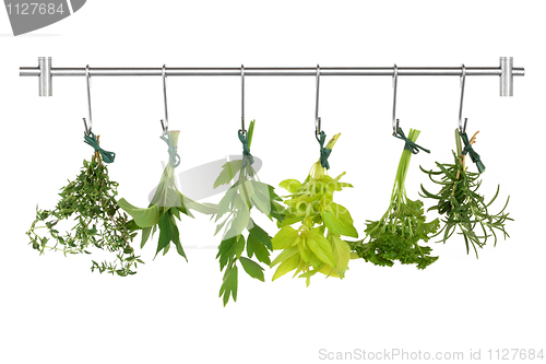 Image of Drying Herbs