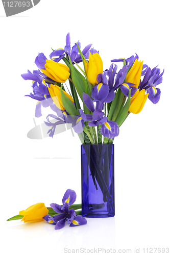 Image of Iris and Tulip Flowers